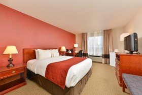 Comfort Inn & Suites South