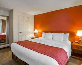 Comfort Inn & Suites South
