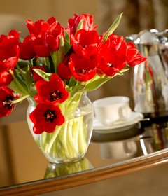Fairmont Palliser