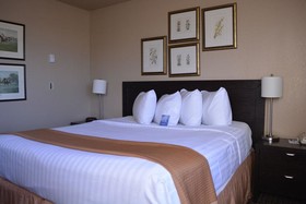 Emerald Hotel & Suites