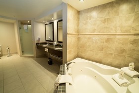 Holiday Inn Hotel & Suites West Edmonton