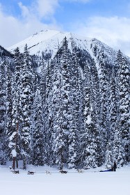 Lake Louise Inn