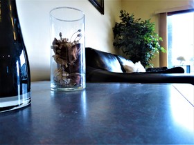Ranchland Inn