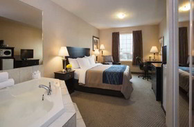Comfort Inn & Suites Red Deer