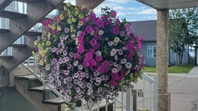 Shoreside Inn & Suites
