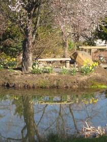 The Essex Inn