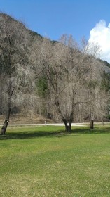 Rivermount Motel