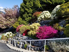 Highlands Bed & Breakfast