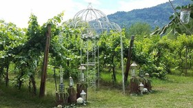 Columbia Gardens Winery and Grape Escape Guesthouse