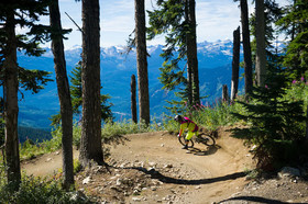 The Aspens on Blackcomb by Whiski Jack