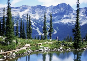 The Westin Resort & Spa, Whistler