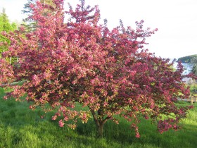 Four Winds Bed and Breakfast