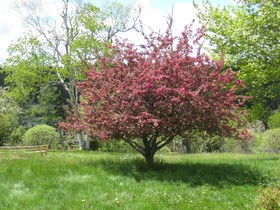 Four Winds Bed and Breakfast