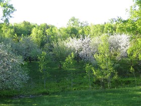 Four Winds Bed and Breakfast