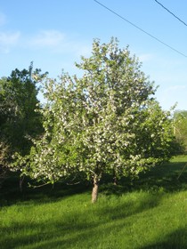 Four Winds Bed and Breakfast