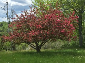 Four Winds Bed and Breakfast