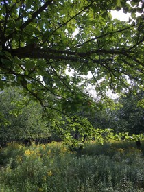 Four Winds Bed and Breakfast