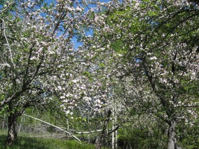 Four Winds Bed and Breakfast