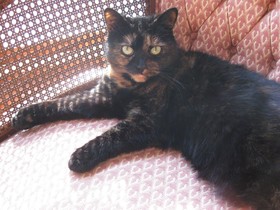 Four Winds Bed and Breakfast