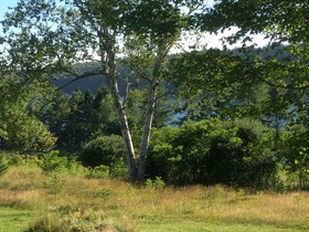 Four Winds Bed and Breakfast