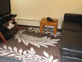 Discovery Suite