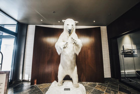 The Explorer Hotel