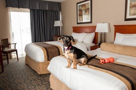 Best Western Brantford Hotel And Conference Centre