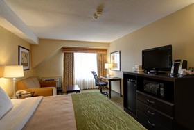 Comfort Inn Chatham