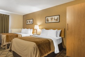 Comfort Inn Cobourg