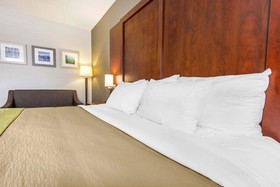 Comfort Inn & Suites Collingwood