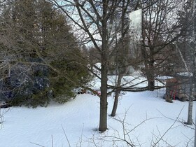 Tailwinds B&B