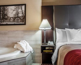 Comfort Inn Fort Erie
