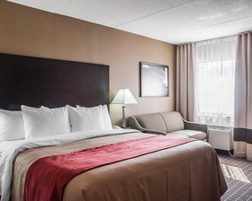 Comfort Inn Fort Erie
