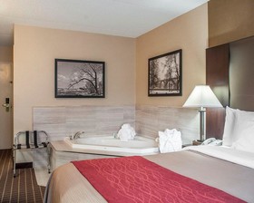 Comfort Inn Fort Erie