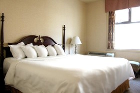 Econo Lodge City Centre Kingston