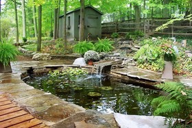 Forest Hill Bed & Breakfast