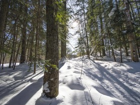 The Canadian Ecology Centre Cabins