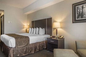 Quality Inn & Suites Petawawa