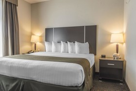 Quality Inn & Suites Petawawa
