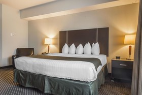 Quality Inn & Suites Petawawa