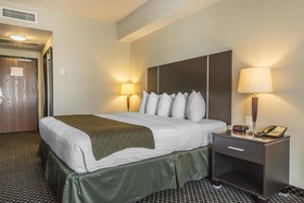 Quality Inn & Suites Petawawa