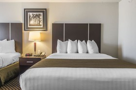 Quality Inn & Suites Petawawa