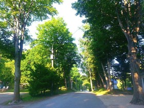 Port Albert Cottages