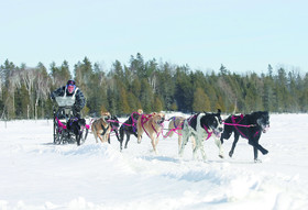 Holiday Inn Express & Suites Timmins