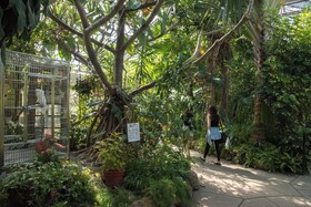 Staybridge Suites Toronto Airport East by IHG