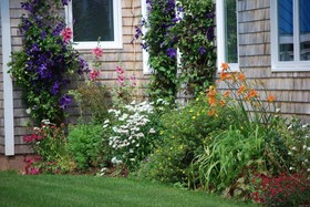Shady Lane B&B and Cottage