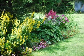 Shady Lane B&B and Cottage