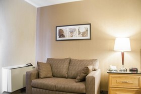 Comfort Inn South