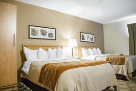 Comfort Inn South