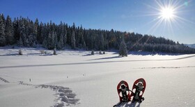 Station Farmhouse Tremblant